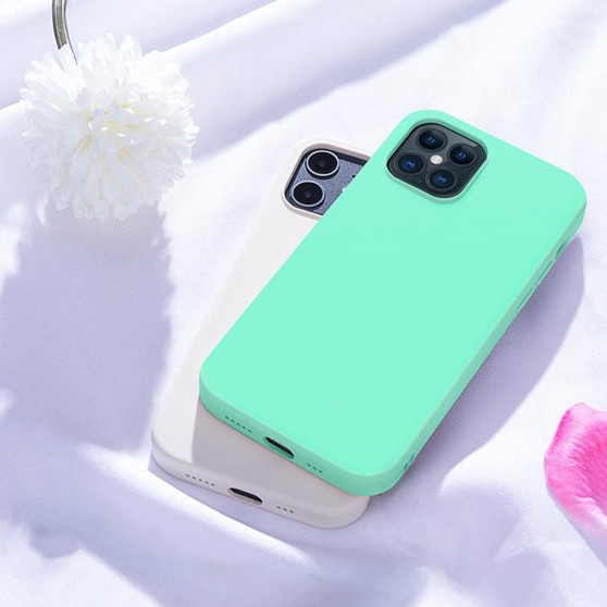 Liquid Silicone Phone Case For iPhone 12 mini Candy Color Matte Phone Cover