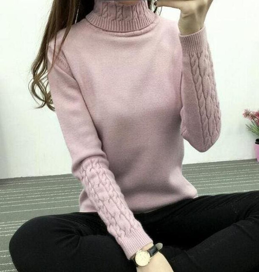 Thick Warm Women Turtleneck Sweater 2018 Autumn Winter Knit Women Sweaters And Pullover Female