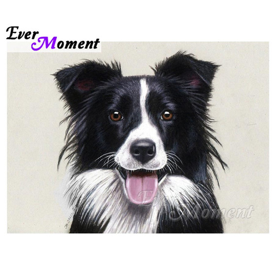 DIY Diamond Painting Border Collie Headshot Art - craft kit