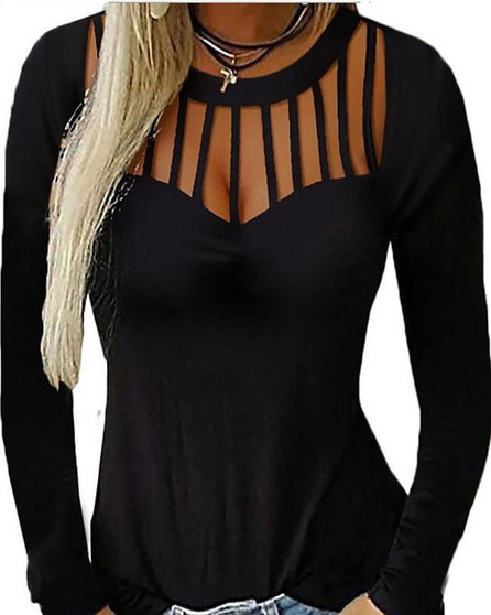 Women's T-shirt Solid Colored Long Sleeve Round Neck Tops Loose Basic Top Black Blue Purple-0207831