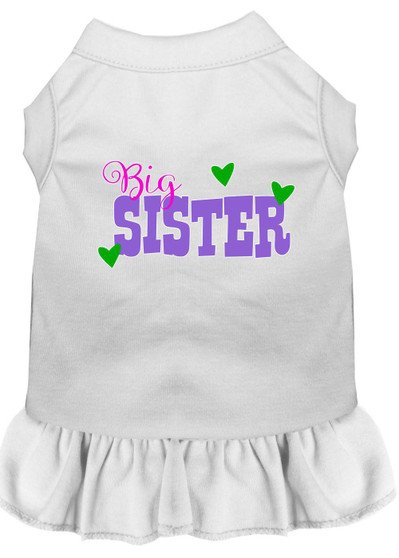 Big Sister Screen Print Dog Dress