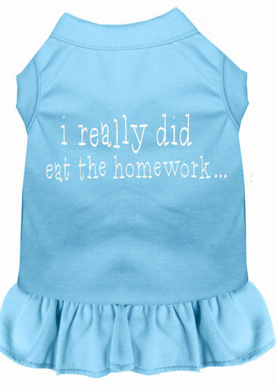 I Really Did Eat The Homework Screen Print Dress Baby Blue