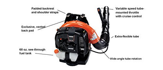 PB-770T ECHO 234 mph 765 CFM Gas Backpack Blower