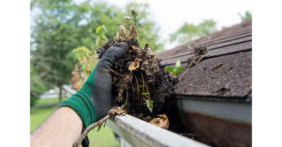 Gutter Cleaning