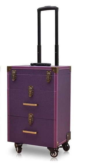 Women large capacity Trolley Cosmetic case Rolling Luggage bag,Nails Makeup Toolbox,Multi-layer Beauty Tattoo Trolley Suitcase