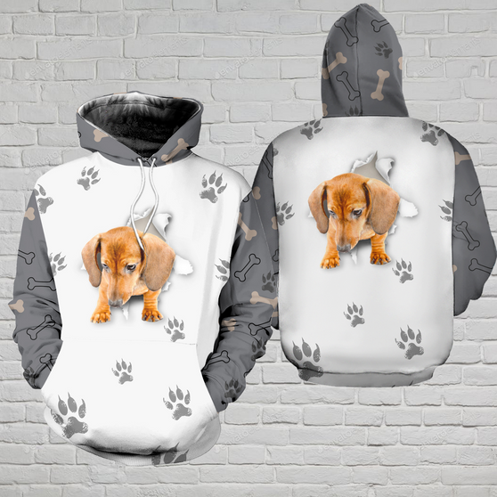 Dachshund 3D All-over Print Hoodie