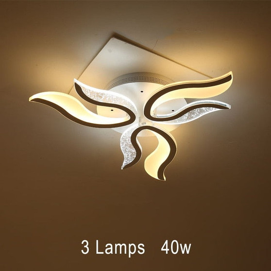 Modern Decorative LED Ceiling Lights