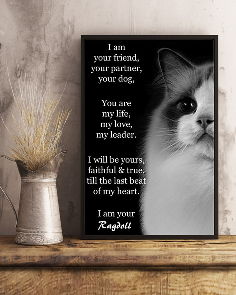 Ragdoll I Am Your Friend Poster, Cat Decorations Cat Wall Art