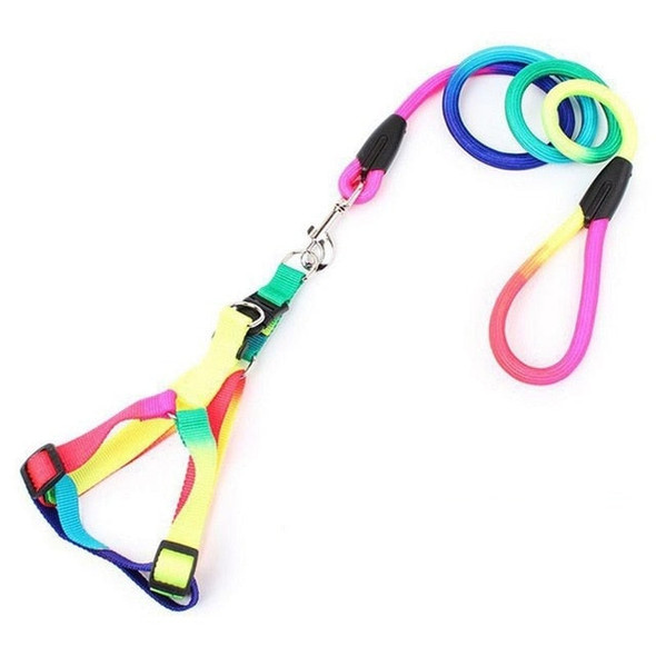 Dog Harness and Leash in LBGTQ Diversity and Inclusion Rainbow Colors