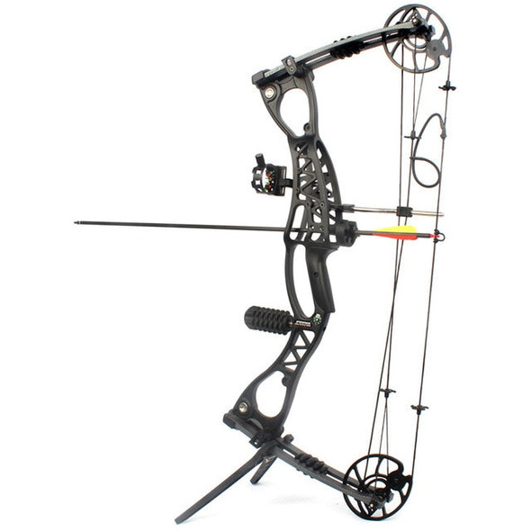 40-65 LBS Compound Bow for Hunting with 300 feet/s Arrow Speed