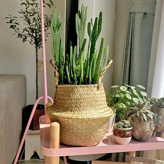 Basket Rattan Hanging Flower Pot Multiuse