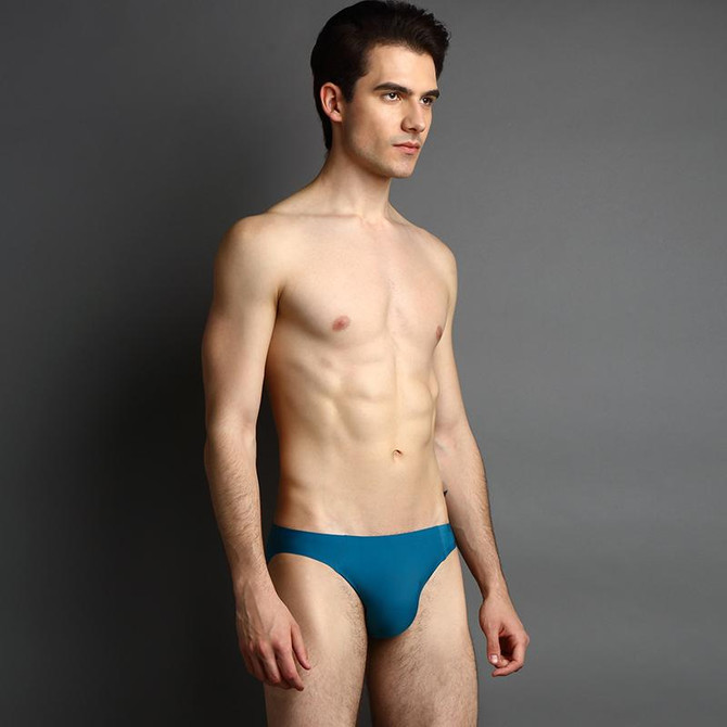2017 sexy Men Underwear High Quality Mens Briefs Nylon Spandex Famous Brands Solid Underwears Male Briefs Underwear
