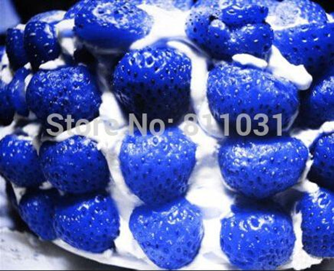 Hot selling 100pcs/bag blue strawberry rare fruit vegetable seed bonsai plant home garden free shipping
