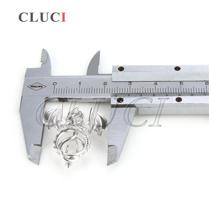 CLUCI Jewelry Dragon Cage Pendant Lucky Amulet For Women Men, 925 Sterling Silver Necklace Pendant