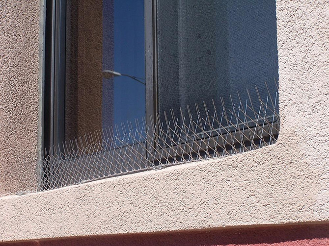 Pigeon Spike Stainless Steel Bird Spikes, Anti Bird &amp; Seagulls Spike,100% Stainless Steel &amp; No Plastic Parts,10paks (10*50.5cm)