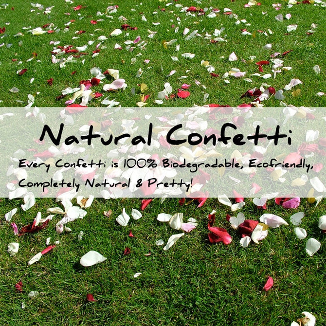 100% natural wedding confetti dried flower petals biodegradable confetti (12 bags)