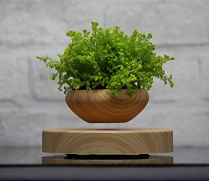 Levitating Plant Pot (Limited Time - 50% OFF)