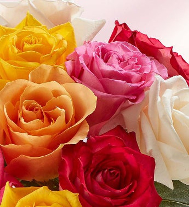 Two Dozen Assorted Roses w/Purple Vase