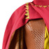 Raya and The Last Dragon Raya Cosplay Costume Cape Suit Full Set Outfit