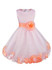Flower Girls Princess Dress Kids Infant Girls Flower Petals Tulle Formal Wedding Pageant Dress Bridal Tulle Formal Party Dress