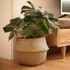 Basket Rattan Hanging Flower Pot Multiuse