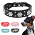 Rhinestone Studded Leather Collar