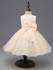 Christmas birthday party girl tutu dress for girls clothes dresses formal princess infant dress toddler kids dresses for girls