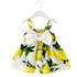 2018 Summer Cute Newborn Baby Girls Dress Bow for 1 year birthday Party Kids Dresses Girl Clothes Baptism Infant Princess Dress