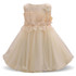 Baby Girl 1 Year Birthday Outfits Lace Princess Girls Clothes Flowers Girl Christening Gown Baby Dresses For Girl Party Vestido