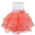 Baby Elegant Infant Girls Flower Dresses Long Wedding Bridesmaid Toddler Dress Pageant Bridal Formal Party Dress Baby Tutu Dress