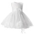 Baby Dresses Girl 1st Birthday Outfits Toddler Girl Christening Gown Flower Little Princess Girl Party Dress Vestido Infantil