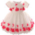 Baby Dress For Girl Children's Costume For Kids Party Wear Lace Christening Gowns Baptism Clothes Girl First Birthday Outfits