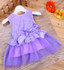 2017 Cute Brand Baby Dress Princess Wedding Party Lace Flower Baby Girls Dresses Sleeveless Newborn Infant Girl Dress 9 colors