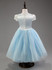 Girls Children Dress Kids Party Dress Vestidos Cosplay Baby Elsa Girls Princess Dresses Kids Christmas Anna Kids Wedding Dresses