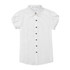 2017 Chiffon Blouses Work Wear Women Shirt Turn Down Collar Blusas Femininas Tops Elegant Ladies Formal Office Blouse