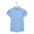 2017 Chiffon Blouses Work Wear Women Shirt Turn Down Collar Blusas Femininas Tops Elegant Ladies Formal Office Blouse
