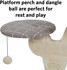 Cat Scratch Condo - 30" Small Cat Tree - MidWest Homes for Pets Feline Nuvo Salvador Cat Furniture