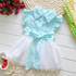 Trendy Floral Baby Dress for Summer 2023 - Casual Pink and Blue Lace Tutu Dresses for Newborn Girls