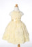 Retail Rose Appliques Elegant Flower Girls Dress Sleeveless Lace Knee-Length Kid Girls Summer Wedding Evening Party Dress W002