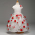 Retail Lace Round Hollow Flower Pattern Elegant Girl Party Dress Lace Print Pattern With Appliques Girls Wedding Dress L-101