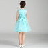 Retail Appliques beadin Lace Flower Girl Dress Sequined Pattern Girl Party Dress Embroidery Flower Girls Princess Dress LL313