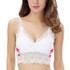 2017 New Sexy Women Lace Crochet Bralette Bralet Bra Bustier Crop Top Floral Cami Padded Tank Tops 7644