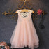 2017 Fashion Flower Girls Kids Baby Lace Formal Tulle Tutu Party Wedding Princess Dress