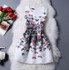 2016 New Bottoming Dress Summer elegant lace Bodycon dress, Women Vintage sexy evening party casual dresses,Plus Size Vestidos