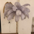 Vintage Ostrich Feather Floor Lamp
