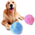 Magic Roller Ball Toy