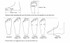 2020 New arrival Orange Crystal Women wedding shoes with matching bags Pointed toe High Pumps fashion ladies shoes and Purse