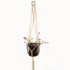 handmade macrame plant hangers