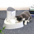 1.8L Cat Water Fountain Quiet Automatic Pet Water Dispenser For Cats Dogs Birds Electric Drinking Bowl Activated Carbon Filter