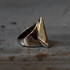 Mens Stainless Steel Biker Ring